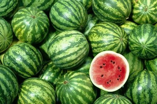 娱乐吃瓜酱300块,娱乐吃瓜酱背后的故事