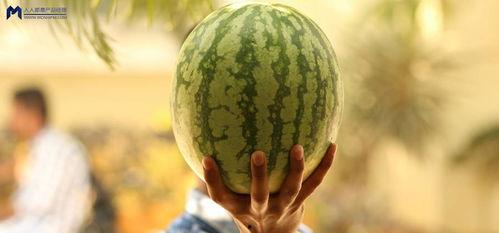 吃瓜大事件,揭秘娱乐圈最新大事件背后的真相