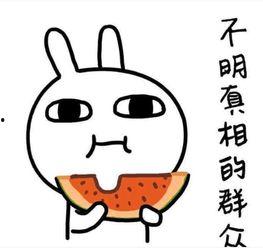 幽默吃娱乐圈瓜文案