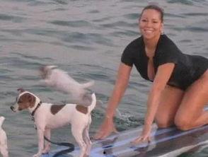 娱乐吃瓜君小狗,揭秘娱乐圈那些不为人知的幕后故事