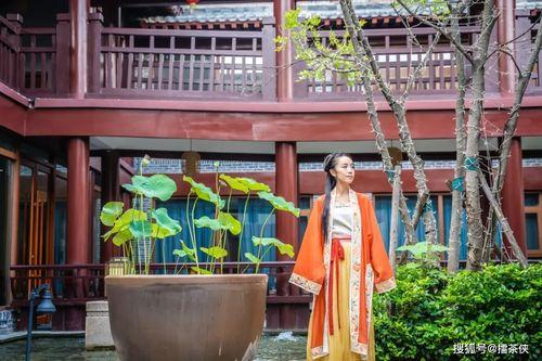 小桥吃瓜娱乐,揭秘娱乐圈幕后故事